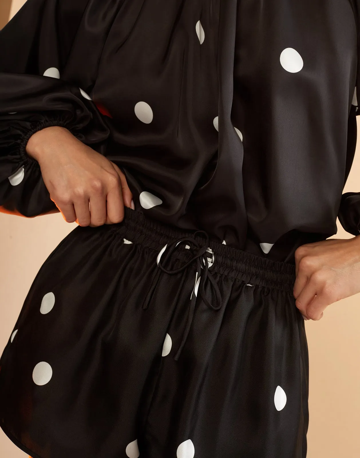 Alice Silk Shorts