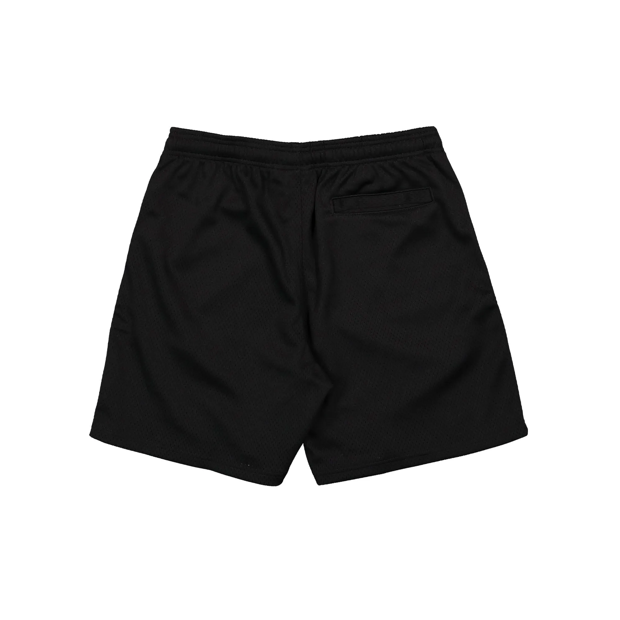 Big Basis Mesh Short