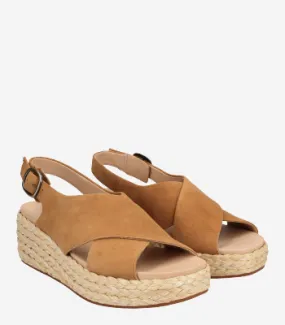 Clarks-