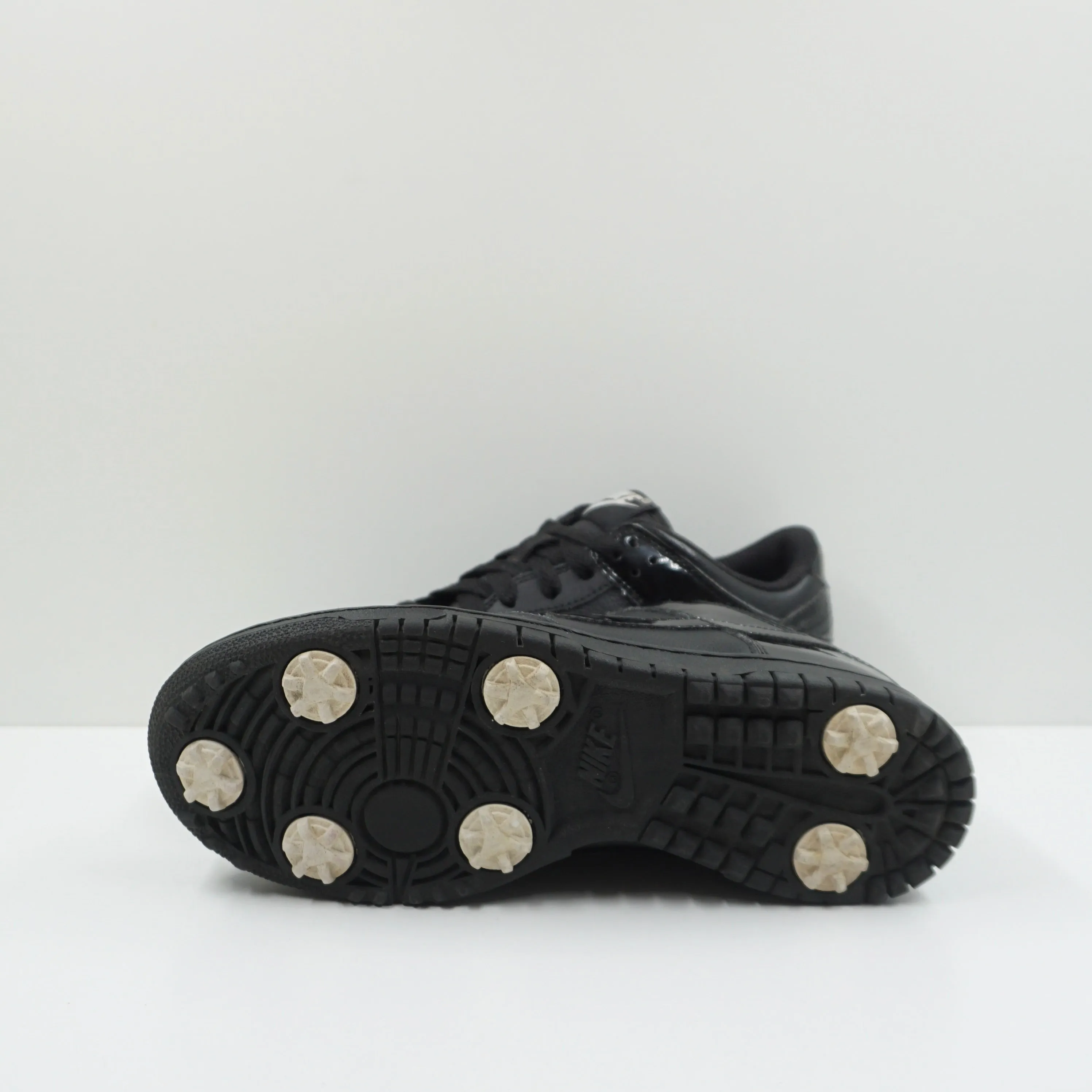 Nike Dunk NG Golf (GS)