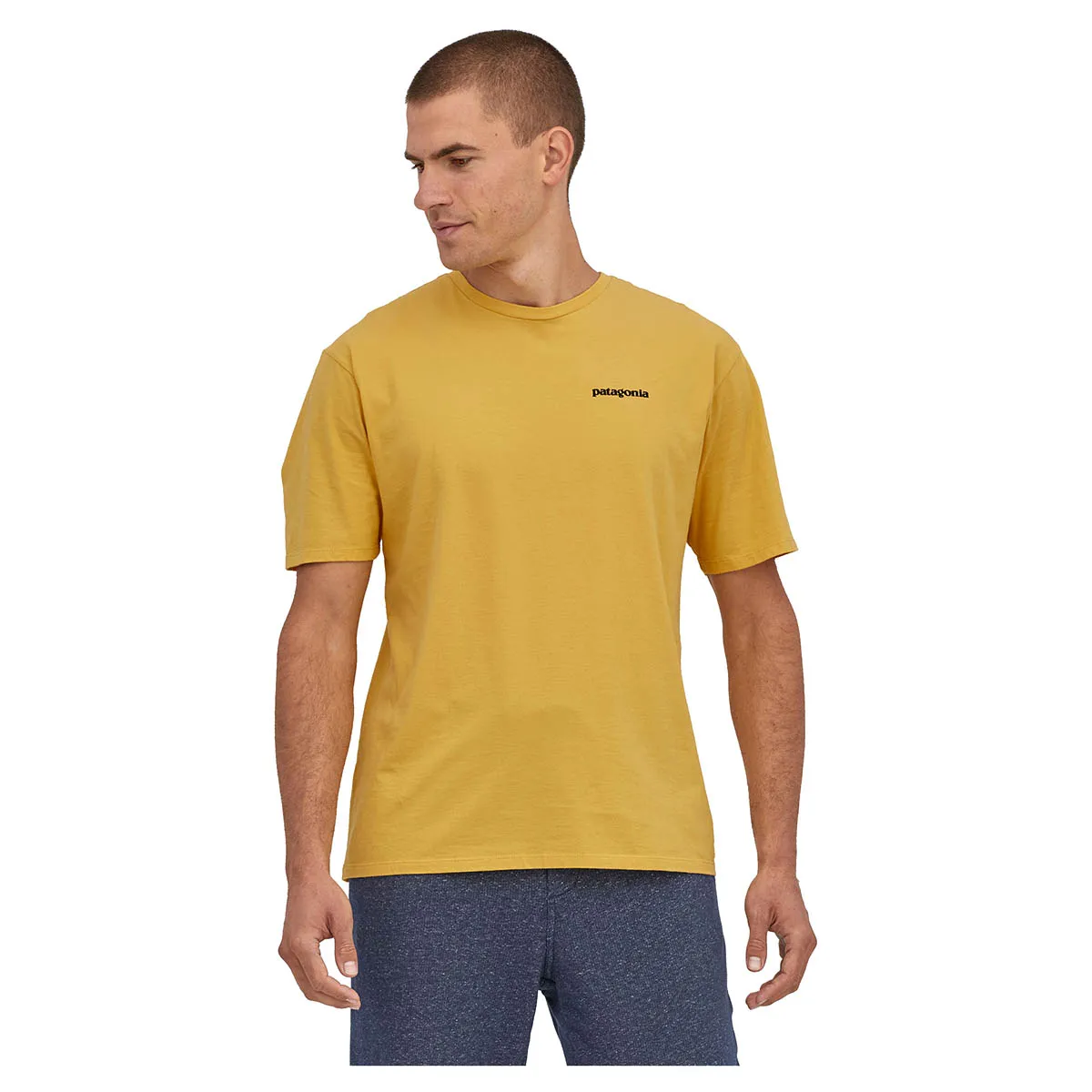 Patagonia Men's P-6 Mission Organic Cotton Tee - SUYE