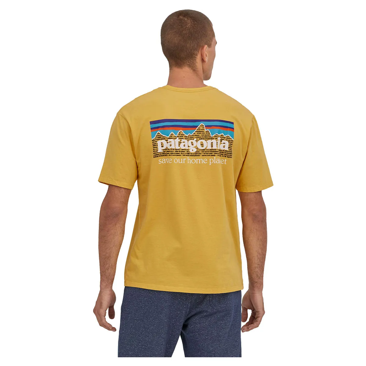 Patagonia Men's P-6 Mission Organic Cotton Tee - SUYE