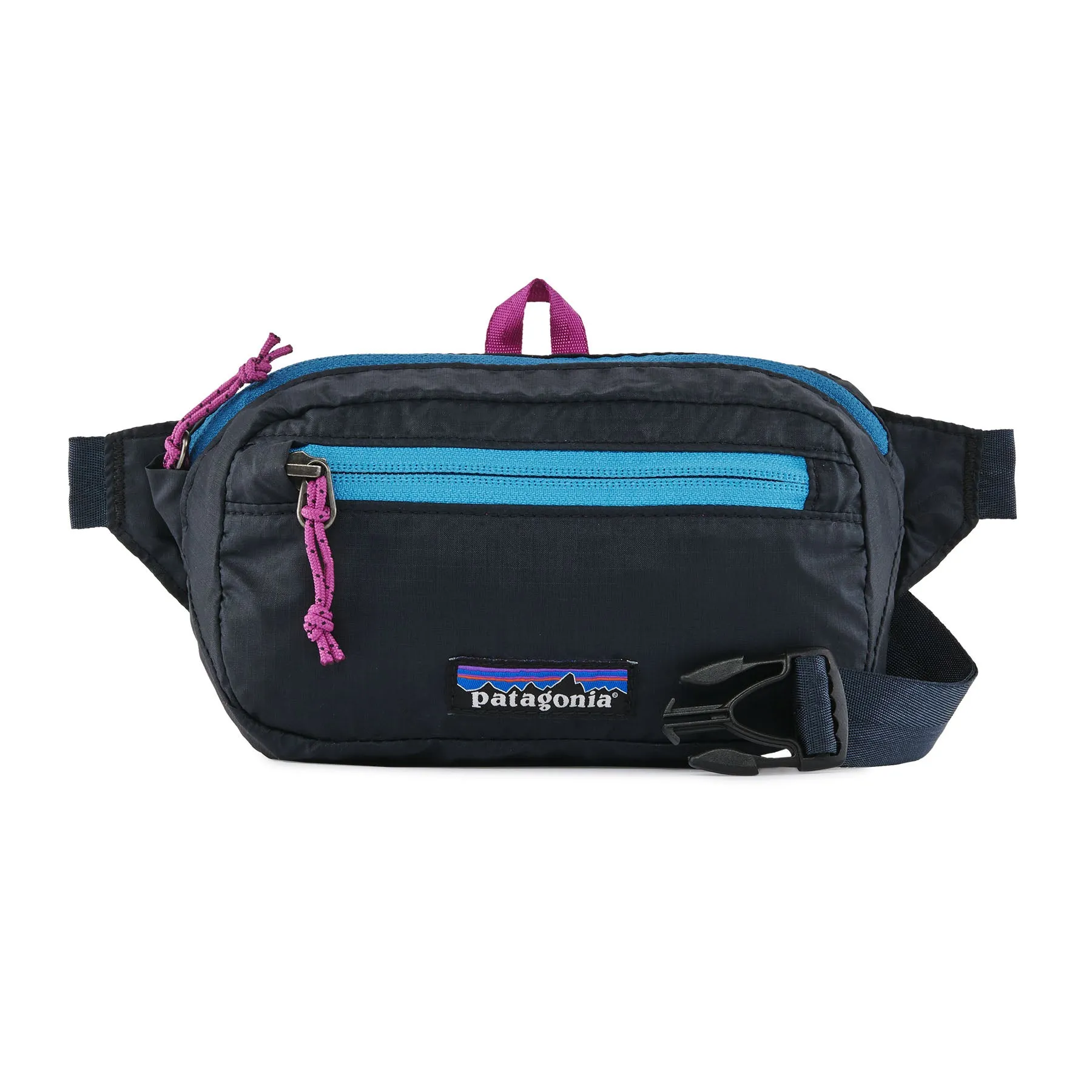 Patagonia Ultralight Black Hole Mini Hip Pack 1L