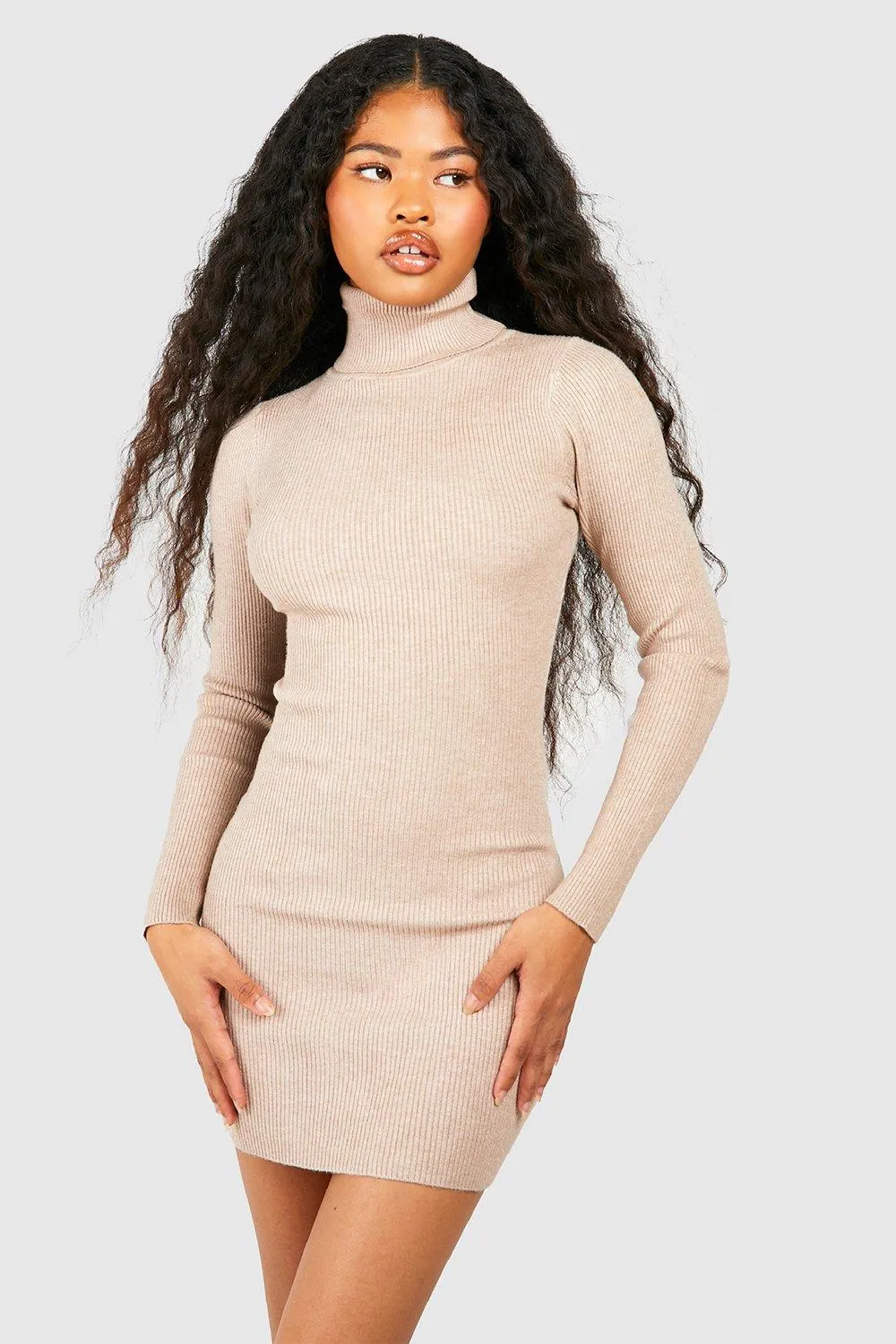 Petite Knitted Turtleneck Mini Dress