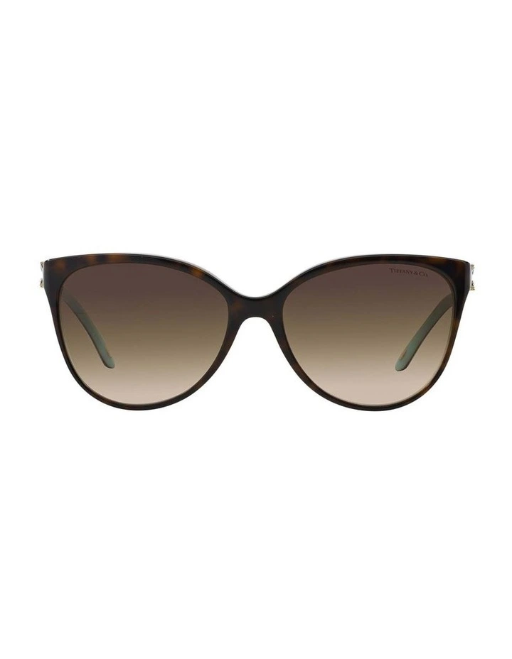 TF4089B Brown Sunglasses