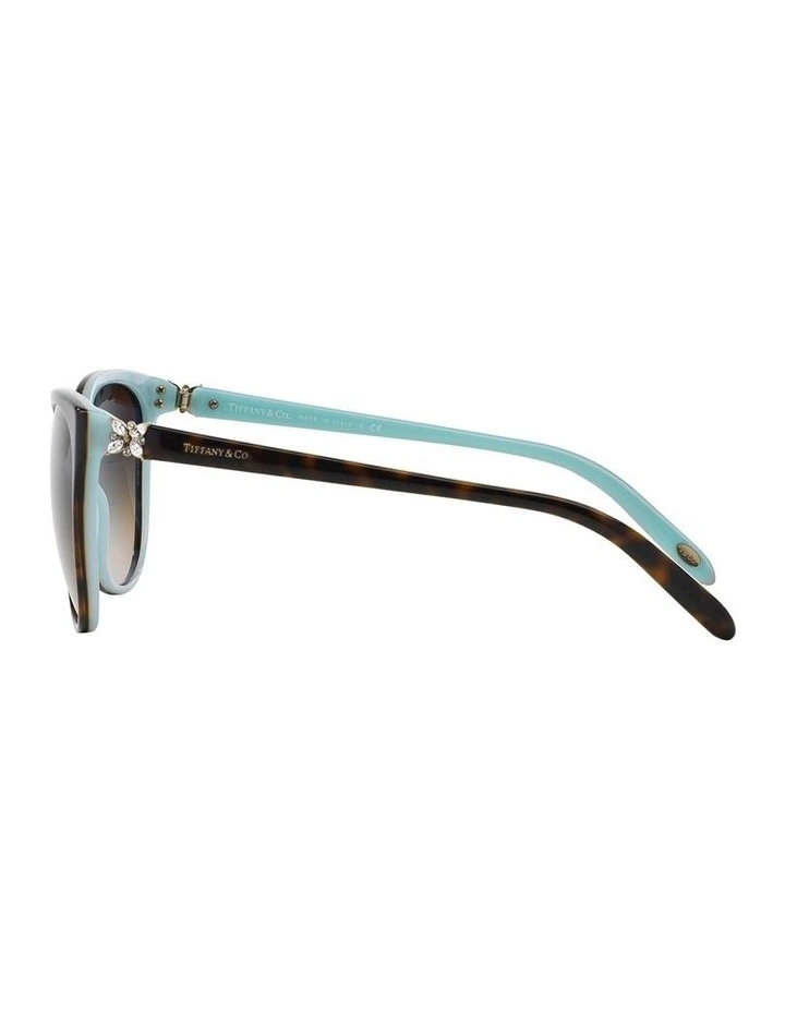TF4089B Brown Sunglasses