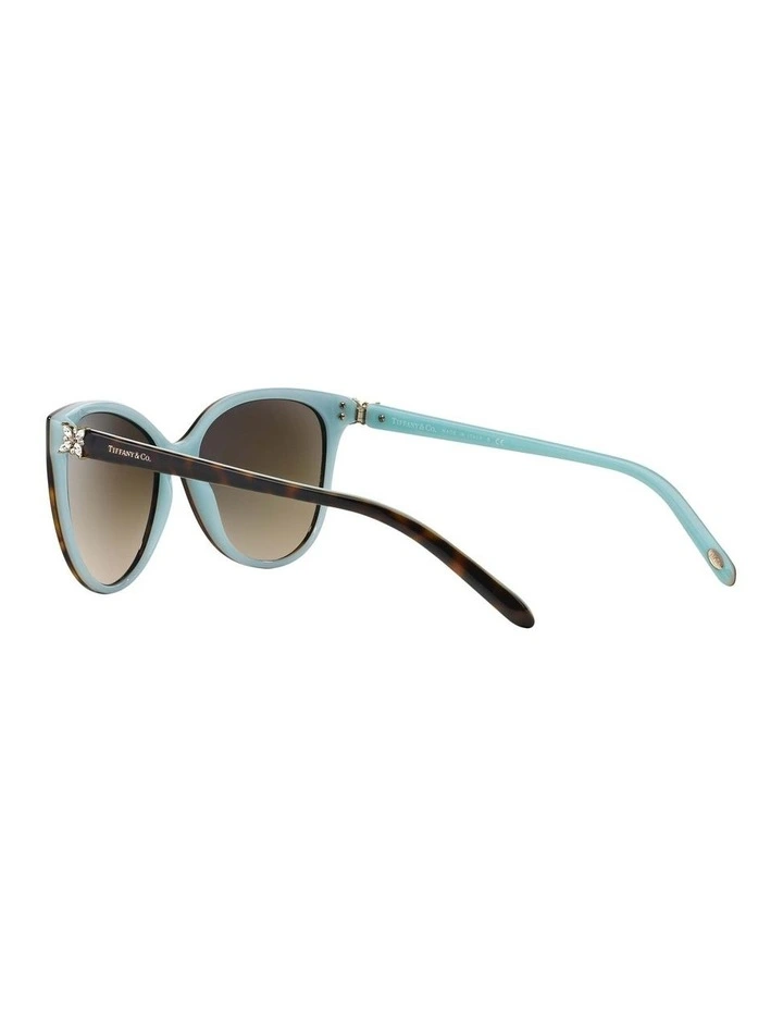 TF4089B Brown Sunglasses
