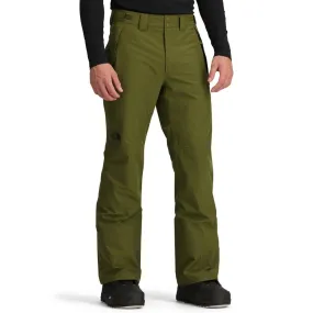 the north face descendit pant - men's