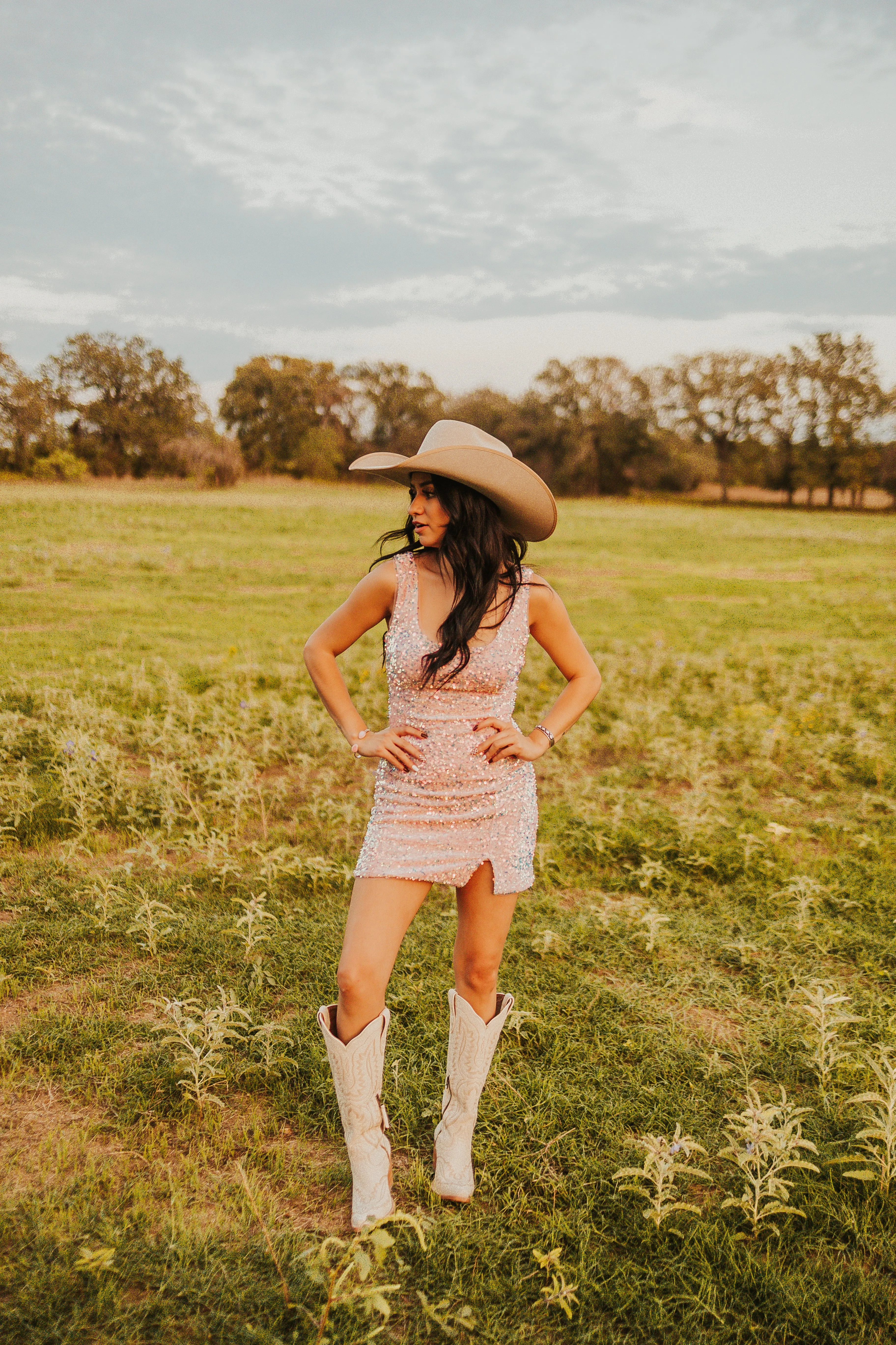The Wylde Dress