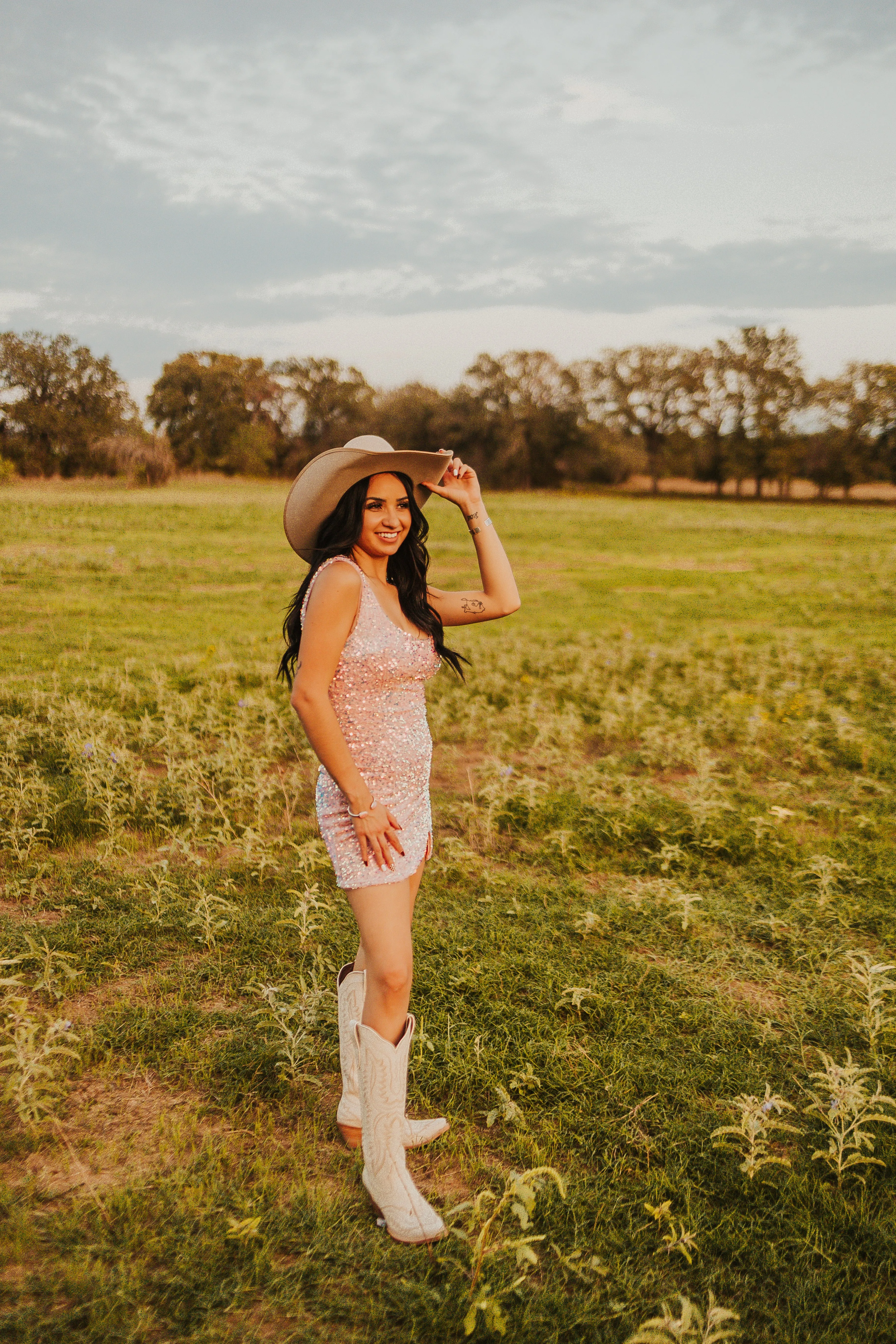 The Wylde Dress