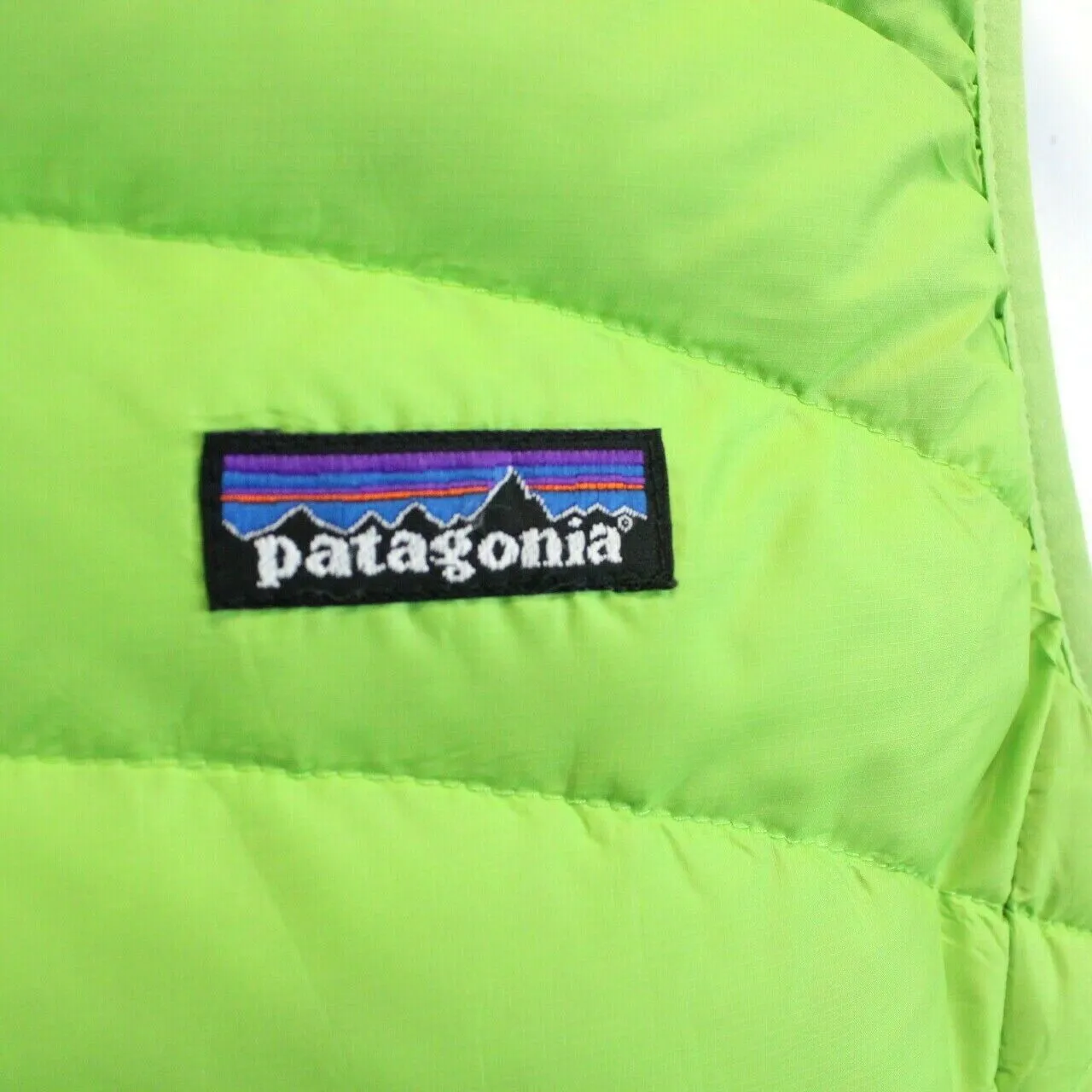 Womens PATAGONIA Gilet Green | Medium